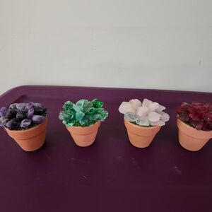 Sea glass small succulents